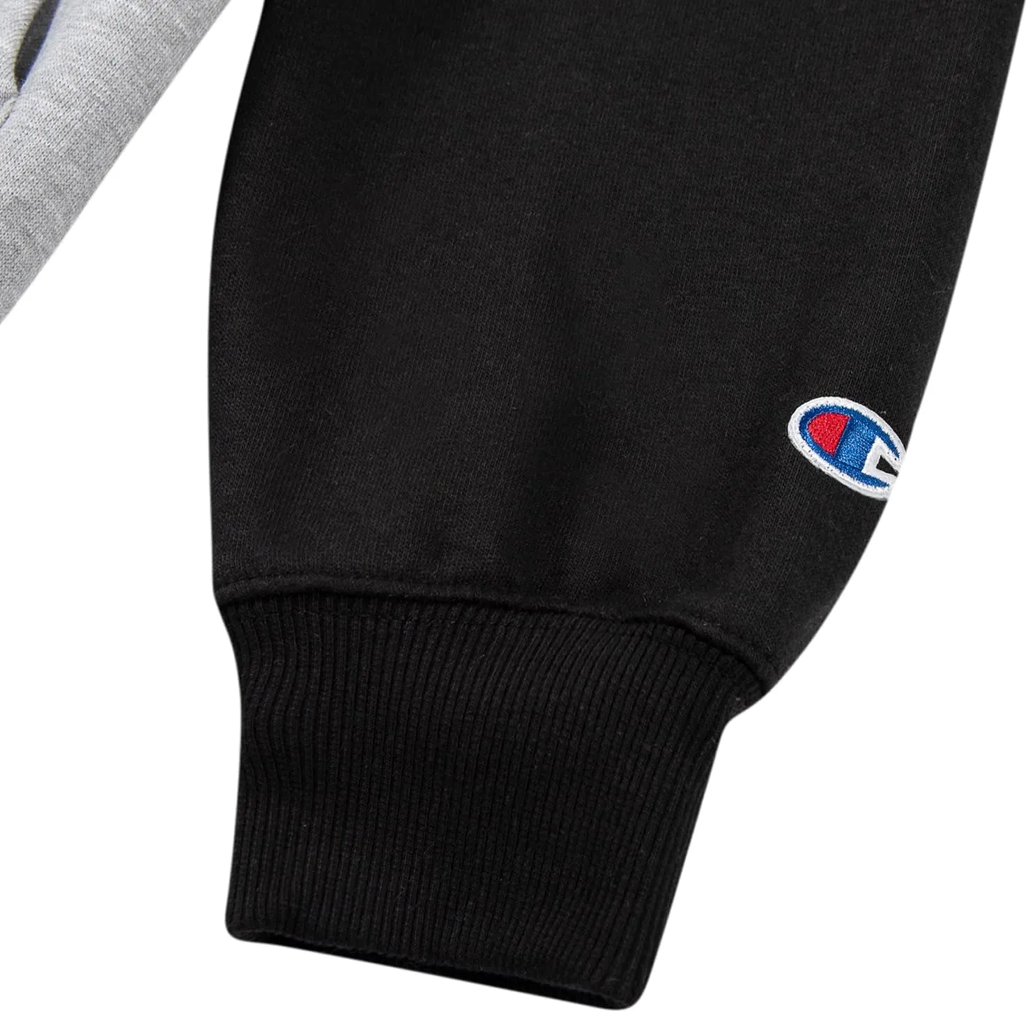 Champion Hoodies for Men – Big and Tall Men’s Fleece Hoodie, Graphic Pullover