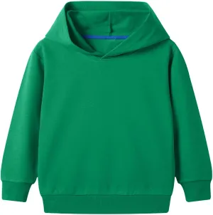 Toddler Kids Boys Girls Hooded Long Sleeve Cuffs Solid Color Basic Sweatshirt Daily School Sporty Wear Fall Winter